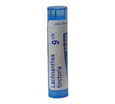 LACHNANTHES TINCTORIA 9 CH